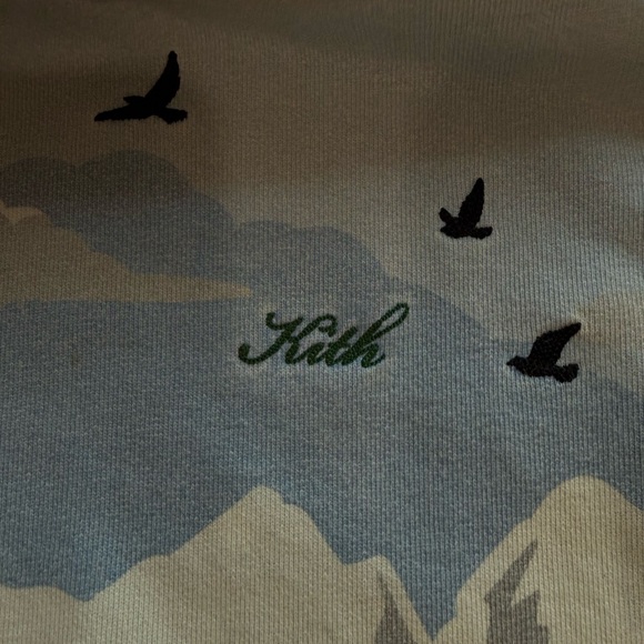 Kith Light Blue Hoodie - Picture 2 of 6